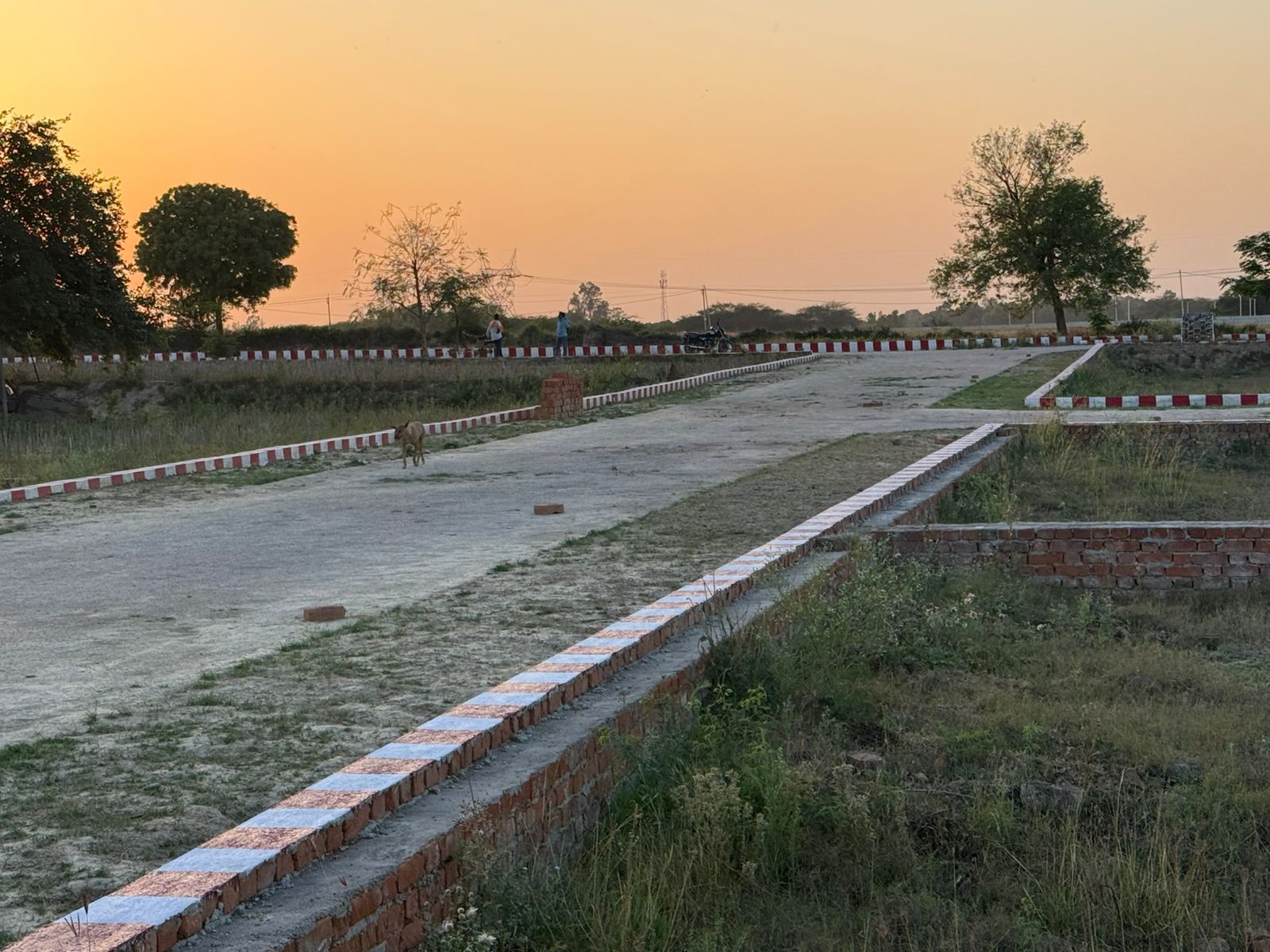 Site Image 1